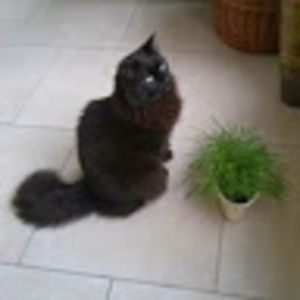 Meet your Posher, Janice